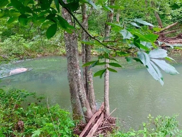 $179,900 – 16 Acres with Creek, Barn, and Home in Mountain View, AR